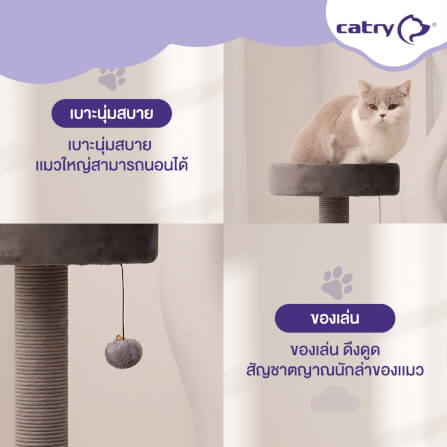 คอนโดแมว Catry รุ่น Cat Tree Classic พร้อมเสาลับเล็บและเปลนอน_3